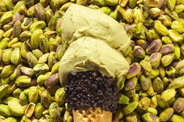 イタリア老舗高級チョコ「ヴェンキ」大丸京都店に京都府初の店舗、多彩なチョコレート＆ジェラート販売