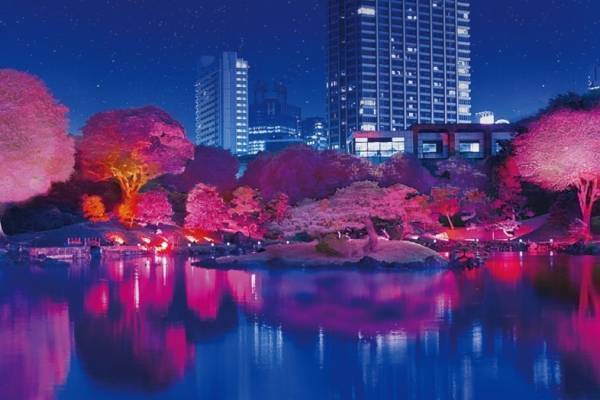 旧芝離宮恩賜庭園、幻想的な“光の桜”が照らすライトアップイベント「旧芝離宮夜会」