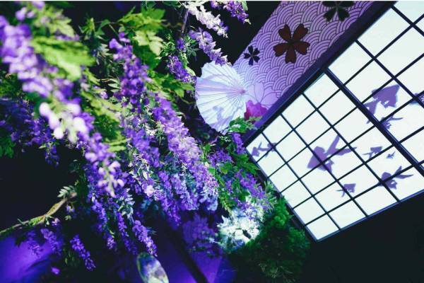 「藤波と金魚」“西日本最大級”金魚がテーマの水族館・奈良金魚ミュージアムで、藤の花イベント