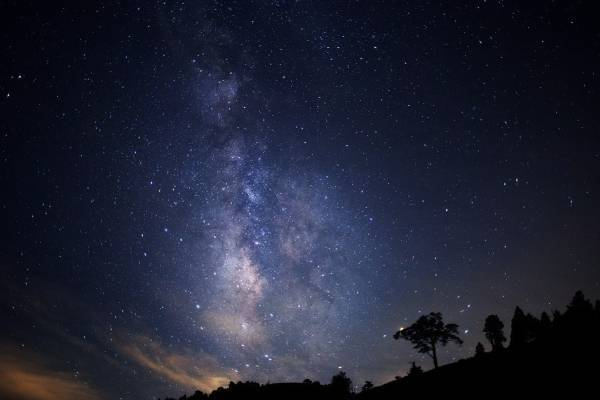 “日本一の星空映画祭”「ショートショート フィルムフェスティバル 2022」長野・阿智村で