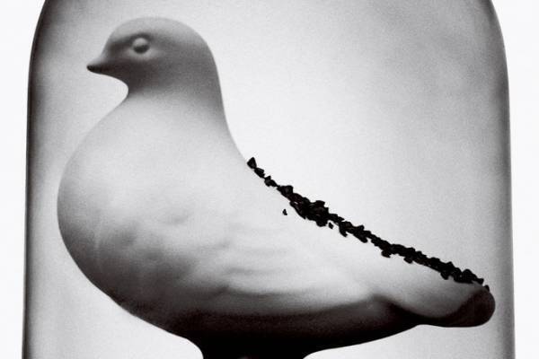 企画展「日本のグラフィックデザイン2022」東京ミッドタウンで、ポスターやパッケージなど約300点