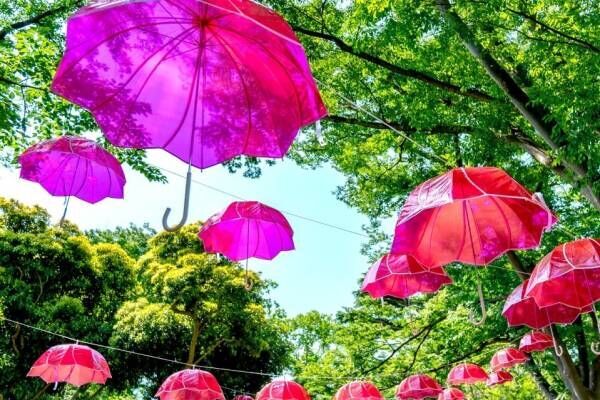 「傘の森」千葉公園に出現、Wpc.“蓮の花”のような傘＆シャイニーアンブレラが梅雨空を彩る