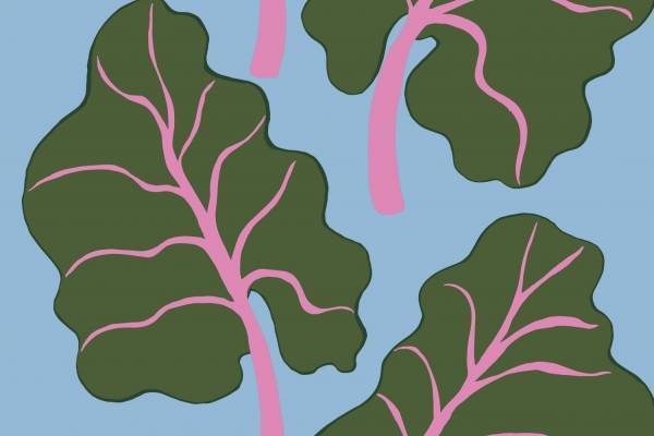 イケアの新インテリアコレクション、“ルバーブの葉”の限定プリント配したマリメッココラボほか