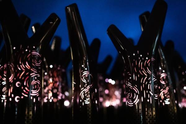 「阿寒湖の森ナイトウォーク カムイルミナ」北海道の大自然×デジタルアートを夜散歩、動物と巡る冒険物語