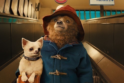 映画『パディントン3』次の舞台はペルー？！監督にドゥーガル・ウィルソンが初参加