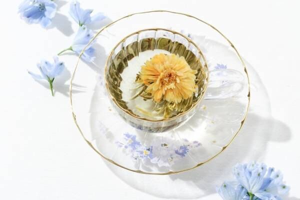 フランフラン“フラワーモチーフ”の新作テーブルウェア、透明感ガラスの花柄マグやプレート
