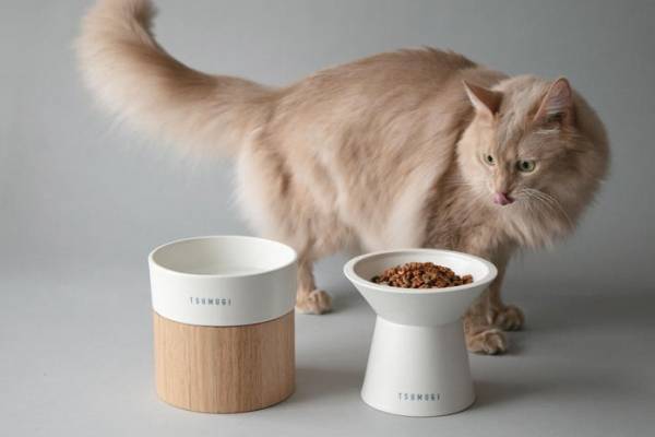 「猫用品店」ねこグッズを集めた猫づくしイベント、カフェ＆ブックス ビブリオテーク東京・大阪・熊本で