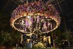 京成バラ園で夏のライトアップイベント「イルミナイトガーデン」夜の園内に幻想的な光の演出