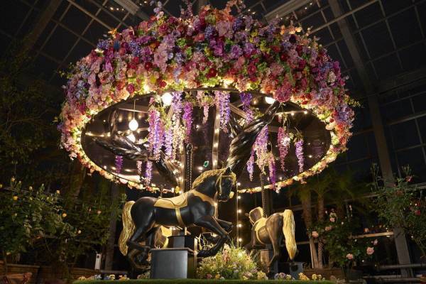 京成バラ園で夏のライトアップイベント「イルミナイトガーデン」夜の園内に幻想的な光の演出