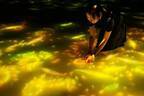 「チームラボプラネッツ」“ひまわり”が咲き渡る夏限定作品、東京・豊洲の“水に入る”アートミュージアム