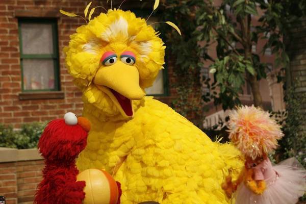 「Hello! セサミストリートの世界展」日本初クッキーモンスターのキッチンカーなど、大阪から全国へ