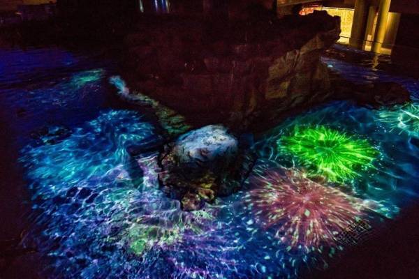 すみだ水族館「夏の夜すい」“夜の水族館”で楽しむプロジェクションマッピング「ペンギン花火」