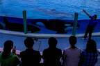 鴨川シーワールド「水族館探検プラン」裏方見学＆海の動物たちの“寝姿”観察、夜の水族館を貸し切りに