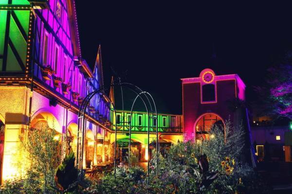 神戸布引ハーブ園でイルミネーションイベント、ロープウェイでキラキラ空中散歩＆光輝く山上のハーブ園