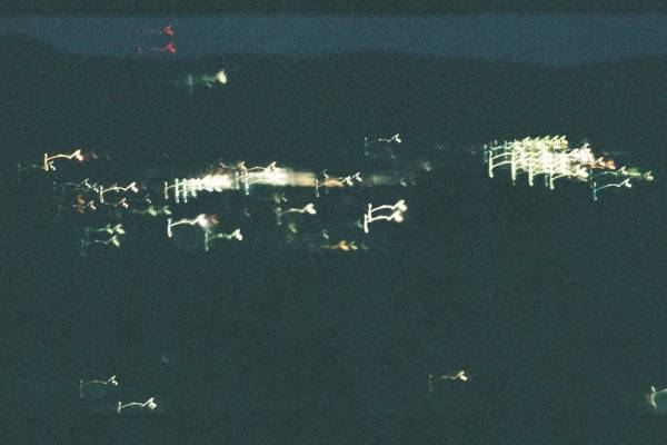 君島大空の新曲「19℃」King Gnu新井和輝・石若駿・西田修大の演奏で人気曲を音源化