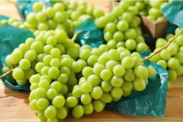 スイーツパラダイス“シャインマスカット＆巨峰”が食べ放題に、国産メロンや秋限定スイーツも