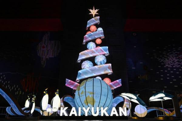 大阪「海遊館イルミネーション 2022」高さ20mのツリーが登場、水槽内にサンタダイバーも