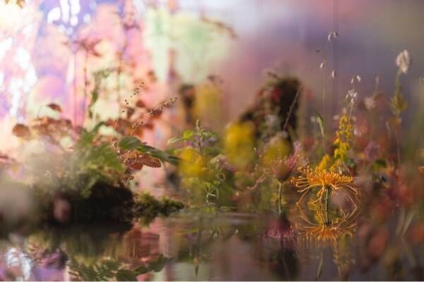 ヴァン クリーフ＆アーペル“秋の世界”のエキシビションが京都で、ジュエリーと片桐功敦による生け花を展示