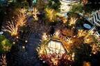 東急プラザ表参道原宿のクリスマスイルミネーション、屋上テラスで“星の降る森”イメージのライトアップ
