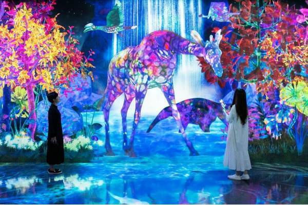 福岡「チームラボフォレスト」デジタルアートが秋仕様に、紅葉した森に住む動物たちの作品など