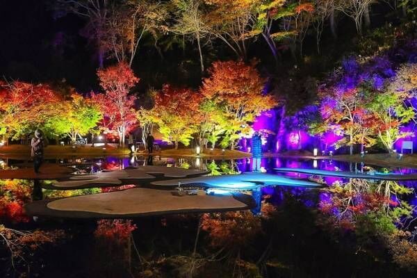 宮城県松島離宮の紅葉イベント2022、歴史ある日本庭園でモミジをライトアップ