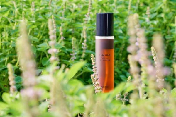 SHIRO22年冬スキンケア、ホーリーバジルの香りUP！人気の2層式フェイスミストが再び