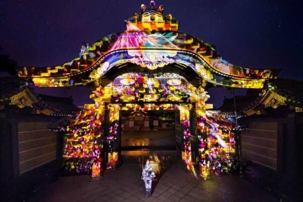 京都・二条城で「ネイキッド フラワーズ 2022」デジタルアートやライトアップで幻想的に彩る