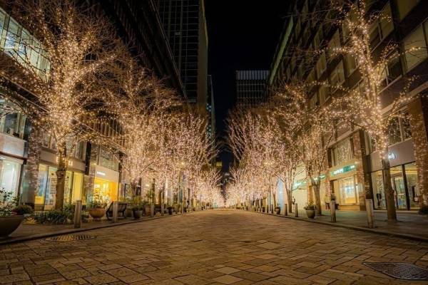 「丸の内イルミネーション2022」約120万球で街路樹340本をライトアップ、丸の内仲通りなど