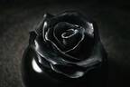 “漆黒の薔薇”型ケーキが阪急梅田本店で、仏ブランド「ブラックパリ」の真っ黒スイーツ