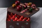 ヴィタメールのクリスマス22年、“煌めく苺がぎっしり”チョコのプレゼントボックスケーキ