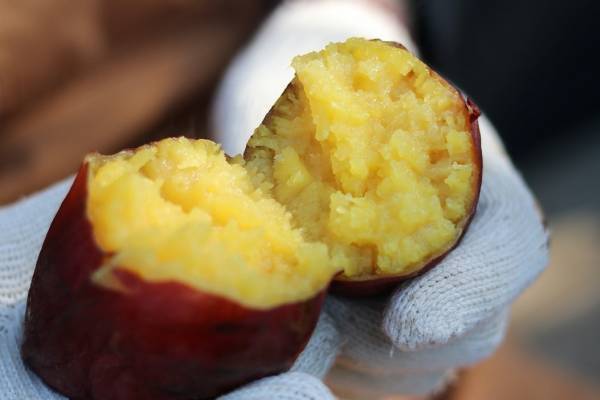 「やきいもフェス TOKYO」新宿・大久保公園で初開催、焼き芋食べ比べ＆芋スイーツ約30種が集結