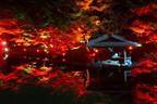 東京・白金台「八芳園」約100本のもみじが”真っ赤に染まる”紅葉ライトアップ、庭園バーも