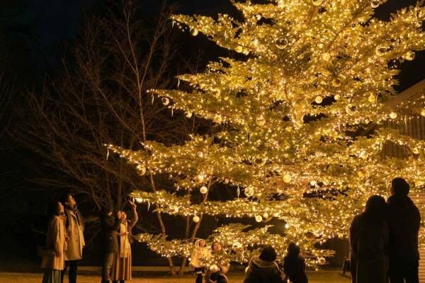 軽井沢星野エリア2022年クリスマス、「やどりぎ」のイルミネーション＆高さ10mのクリスマスツリー