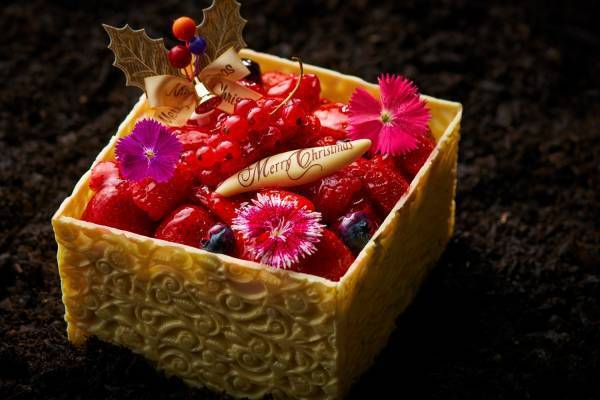 アートホテル大阪ベイタワー22年クリスマスケーキ、“禁断の園”着想チョコ＆ベリーのスクエアケーキ