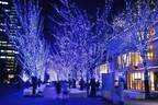横浜最大級イルミネーション「ヨコハマミライト2022」全長1.5kmに約50万球のLEDライト点灯