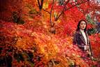 神戸布引ハーブ園「紅葉」が見頃に、約500本のもみじと共に秋花＆ハーブを鑑賞