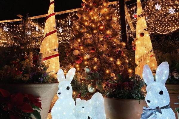 「練馬区立 四季の香ローズガーデン」のクリスマスイルミネーション、バラ園を包み込むあたたかな光