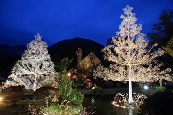 ”15万粒のクリスタルガラス”煌めくクリスマスツリーが箱根ガラスの森美術館に、ライトアップも