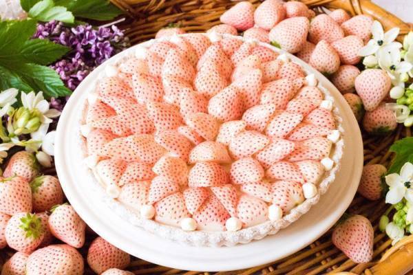 キル フェ ボン冬の新作メニュー、白イチゴ“初恋の香り”づくし贅沢タルト&みずみずしい洋梨タルト