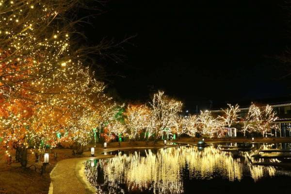 宮城・松島離宮のイルミネーション「2023 SENDAI 松島ハーバーライト」7色の光でライトアップ