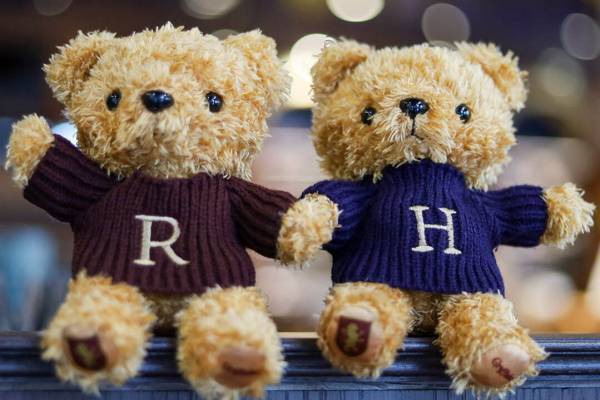 ハリー・ポッター マホウドコロの新作オリジナルベア、衣装はハリー＆ロンの手編みセーター