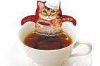 ネコ型紅茶ティーバッグ「キャットカフェ」冬限定チョコフレーバー、ハートの瞳“パティシエネコ”イラスト