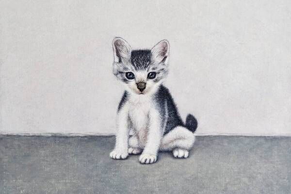企画展「ねこのほそ道」豊田市美術館で - “猫的なるもの”を媒介に現代美術を紹介