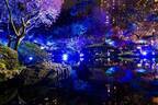 東京・白金台「八芳園」”青一色”に染まるライトアップイベント、日本酒を嗜むバーも