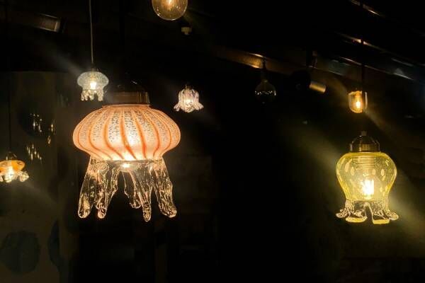 京都水族館の冬限定演出「くらげのあかりたち」、“クラゲランプ”漂う幻想的な光の空間
