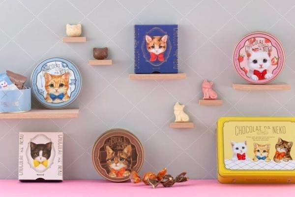 モロゾフの23年バレンタインチョコ「ショコラな猫」、ハチワレねこなど“子ねこ”のチョコ缶