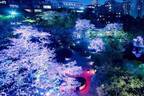 東京・白金台「八芳園」の春イベント、桜色の庭園ライトアップや週末限定グルメスポット「白金横丁」