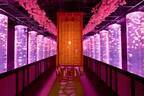 金魚アート「アートアクアリウム美術館 GINZA」“桜×金魚”の春イベント、満開の桜トンネルも