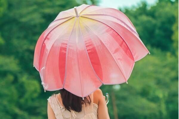 Wpc.“まるでチューリップ”な新作ビニール傘、花びらをグラデーションカラーで表現