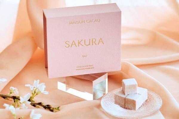 メゾンカカオ「アロマ生チョコレート SAKURA」桜の香りが口いっぱいに広がる春限定フレーバー